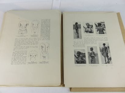 Annales du Musée du Congo Belge, Notes ethnographiques...