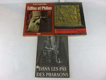 5 livres : Dans les pas des Pharaons, Jean...