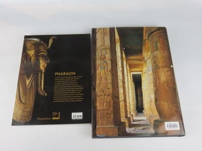 5 livres : L’ ge d’ r de l’ gypte, le Moyen...