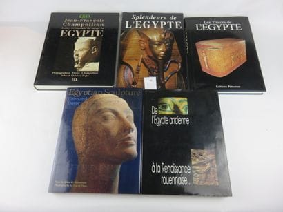 5 livres : De l’ gypte ancienne à la Renaissance...