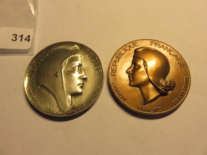 Medals of Ille et Vilaine - lot of 2 medals,...
