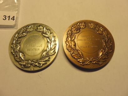Medals of Ille et Vilaine - lot of 2 medals,...