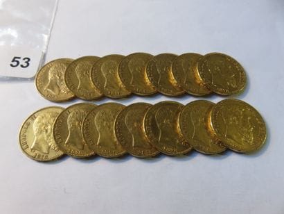 Gold coins - Belgium - Lot of 14 x 20 Francs...