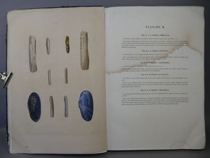 Lamarck (Jean-Baptiste Pierre Antoine de...