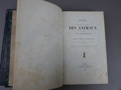 Granville - Scenes from the private and public...