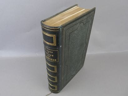 Doré Gustave - Taine Hippolyte - Voyage aux...