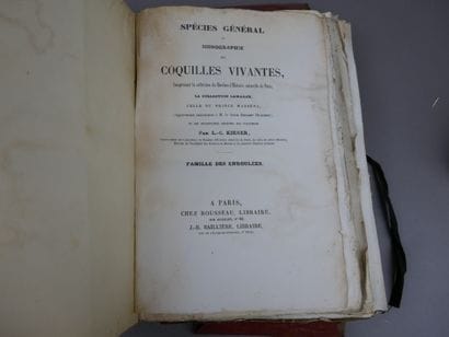 Kiener (Louis-Charles)- Fischer P. - Spécies...