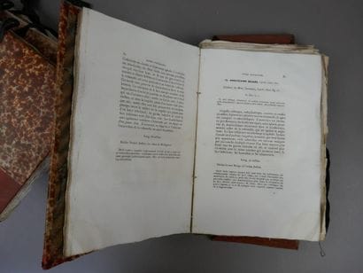 Kiener (Louis-Charles)- Fischer P. - Spécies...