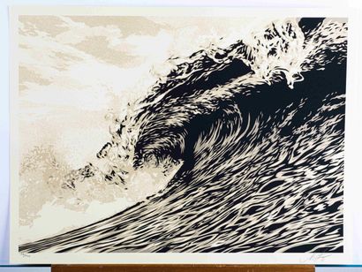 OBEY
Wave of Distress Sepia Blue, 2021.
2...