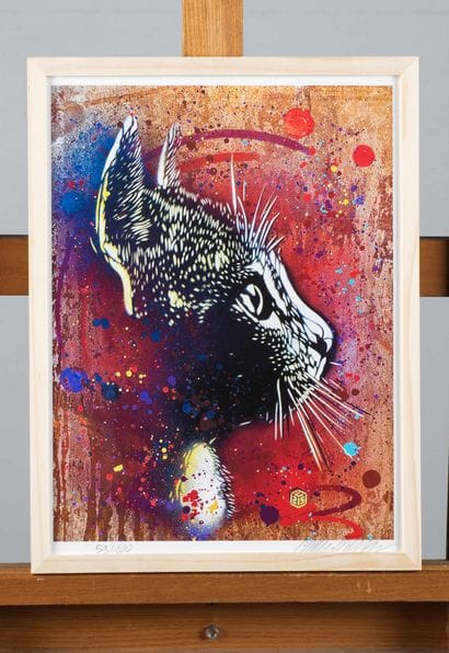 C215
Tom, 2020. 
Digigraphie sur papier Canson...