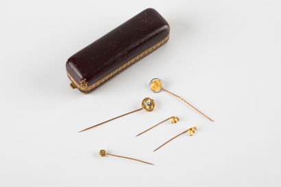 Lot including five pins in yellow gold. Gross...