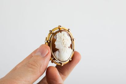 Gold brooch centered with a cameo shell representing...