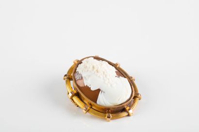 Gold brooch centered with a cameo shell representing...
