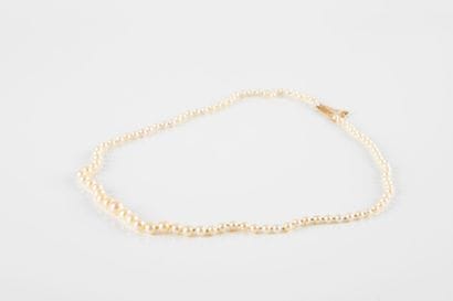 Necklace composed of 89 pearls of culture...