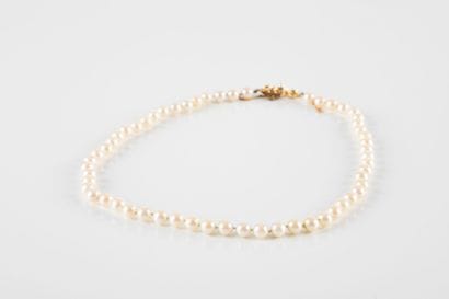 Necklace composed of 57 cultured pearls (worn),...