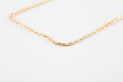 Chain gold mesh forçat filed. Clasp ring...