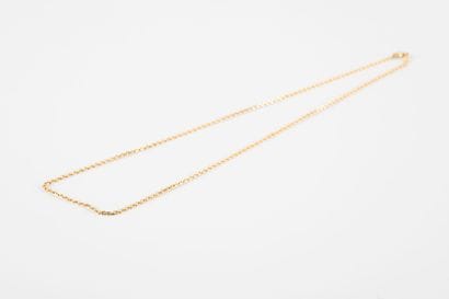 Chain gold mesh forçat filed. Clasp ring...