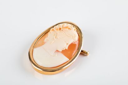Pendant brooch in yellow gold decorated with...