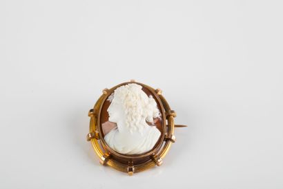 Gold brooch centered with a cameo shell representing...