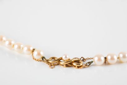 Necklace composed of 57 cultured pearls (worn),...