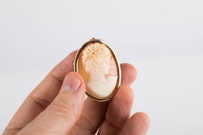 Pendant brooch in yellow gold decorated with...