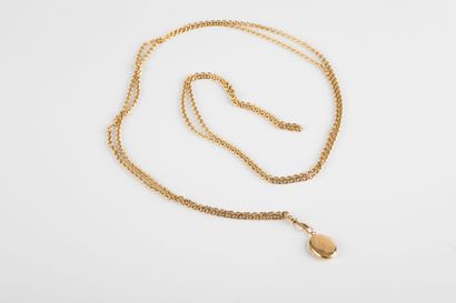 Gold necklace, round forçat link, holding...