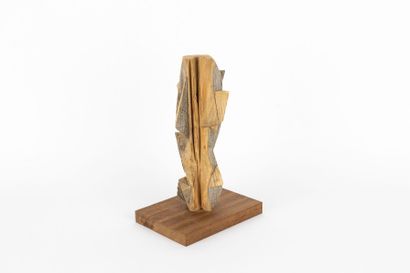 PELLERIN Hélier
Totem n°10, 2021/22
Bois...