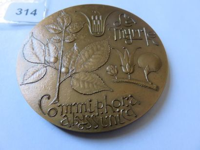 Medal - Myrrh (commiphora abyssinica), by...