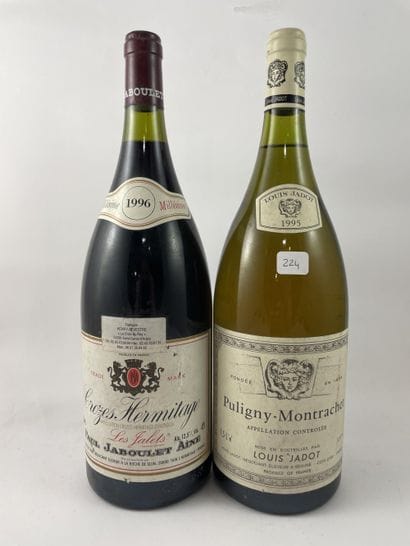 2 mags dont 1 mag Crozes-Hermitage 1996 -...
