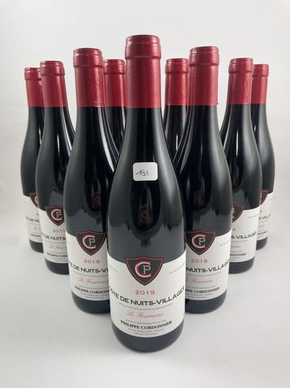 12 btls Côtes de Nuits-Villages 2019 - Le...