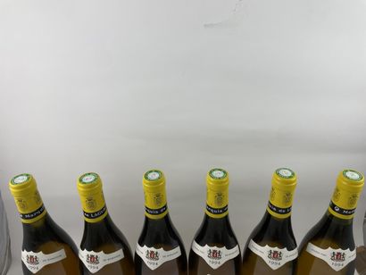 6 btls Chassagne-Montrachet 1994 - Marquis...