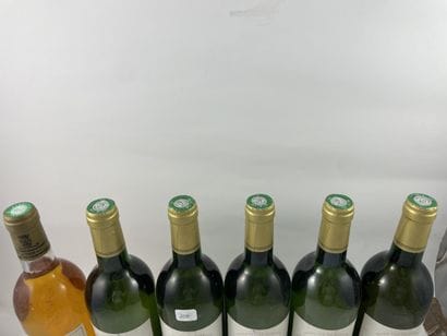 6 btls dont 1 btl Château Bouscault (blanc)...