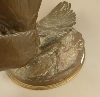 P. GASQ
Chasseresse, un aigle abattu à ses...
