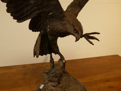 D'après Jules MOIGNIEZ
Aigle à l'envol tenant...