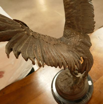 D'après Jules MOIGNIEZ
Aigle à l'envol tenant...