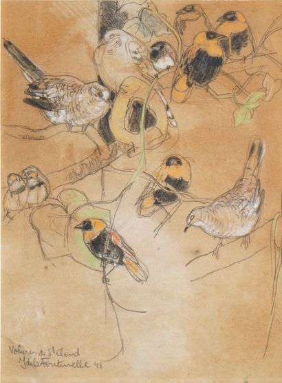 FONTINELLE Jean de la, 1900-1974
Birds, Saint-Cloud...