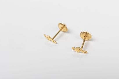 Pair of earrings in yellow gold representing...