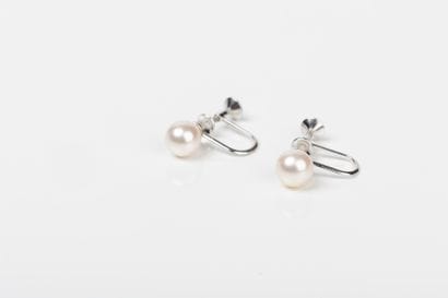 Pair of earrings in white gold, holding a...
