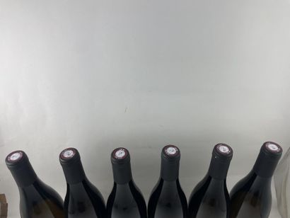 12 btls Saint-Joseph (blanc) 2016 - Brayonnette...