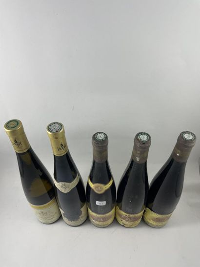 5 btls dont 3 btls Riesling 1989 - Selection...