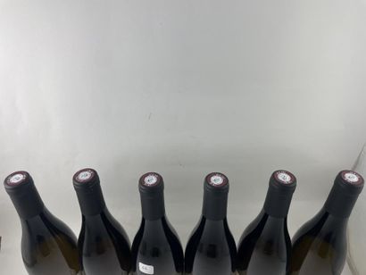 12 btls Saint-Joseph (blanc) 2016 - Brayonnette...