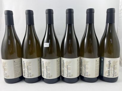 12 btls Saint-Joseph (blanc) 2016 - Brayonnette...