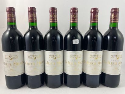 CBO6 btls Château la Fleur Milon 1993 - ...