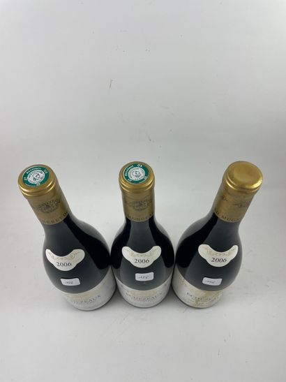 3 btls dont 2 btls Echézeaux 2006 - Domaine...