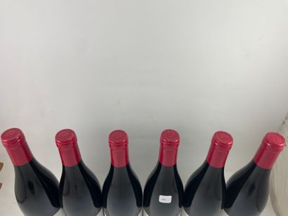 6 btls Côte de Nuits-Village 2019 - Le Fourneau...