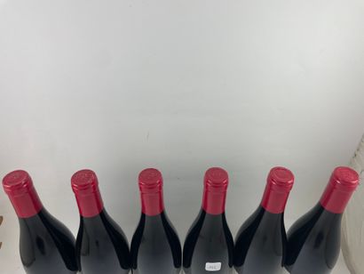6 btls Côte de Nuits-Village 2019 - Le Fourneau...