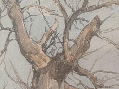 Paul LECOMTE (1842-1920)
Old tree
Watercolor...