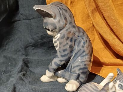 ROYAL COPENHAGEN
Trois chats en porcelaine...