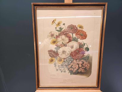 Claude SUTTER (1949) (att.à)
Lys et chrysanthèmes...