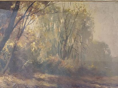 Kess TERLOW (1890-1948)
Ruisseau et sous-bois
Huile...